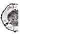 Tischlermeister Erich Kriebernegg